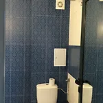Palm Deluxe Slantchev Briag